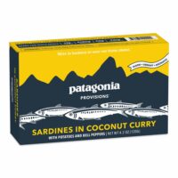 Patagonia